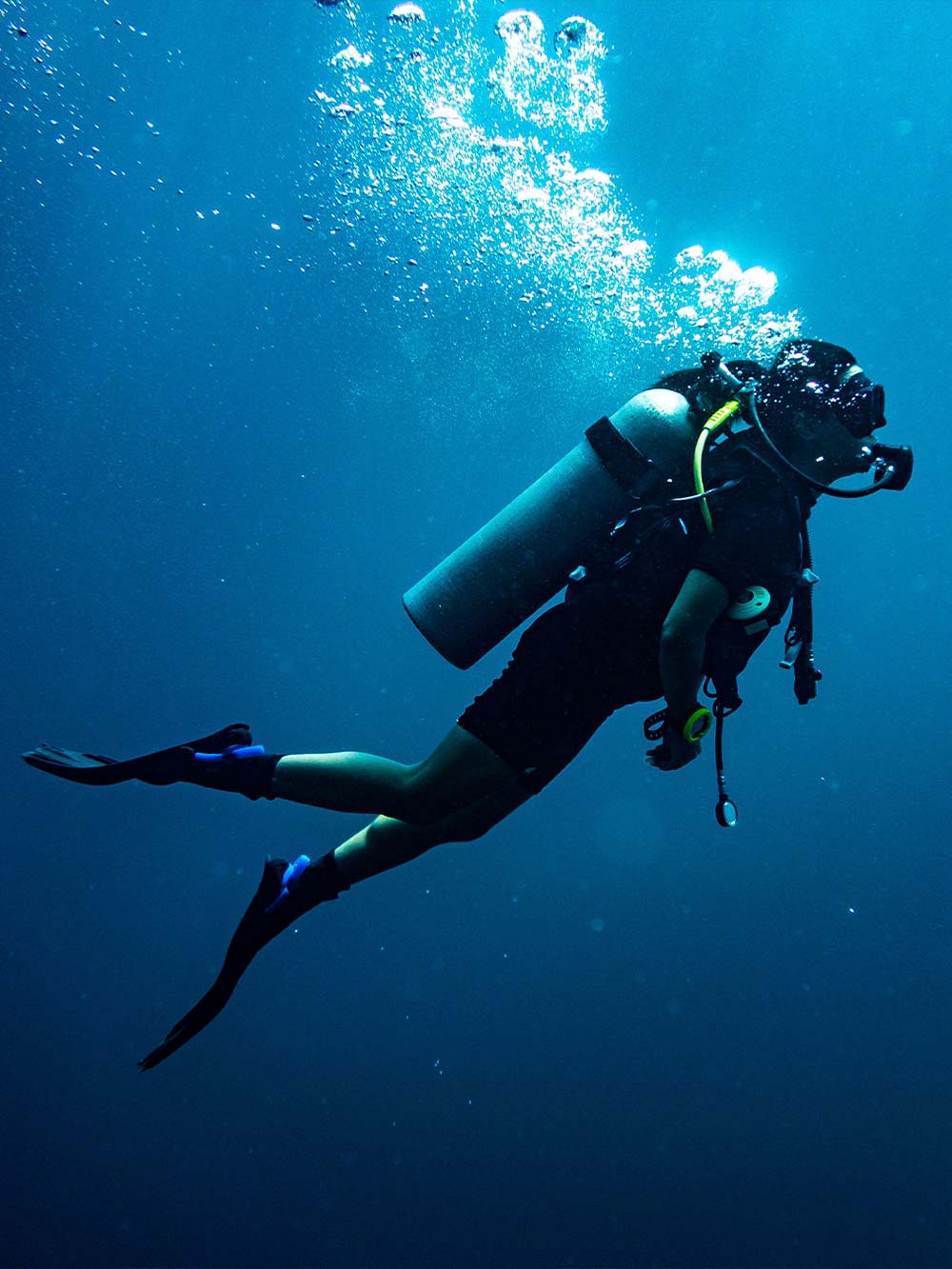 Person scuba diving